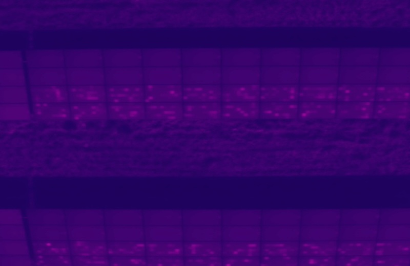 Drone Thermal Imaging Surveys Company UK