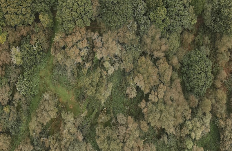 Drone Multispectral Survey Company UK